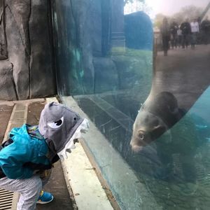 Meet your Posher, Heather